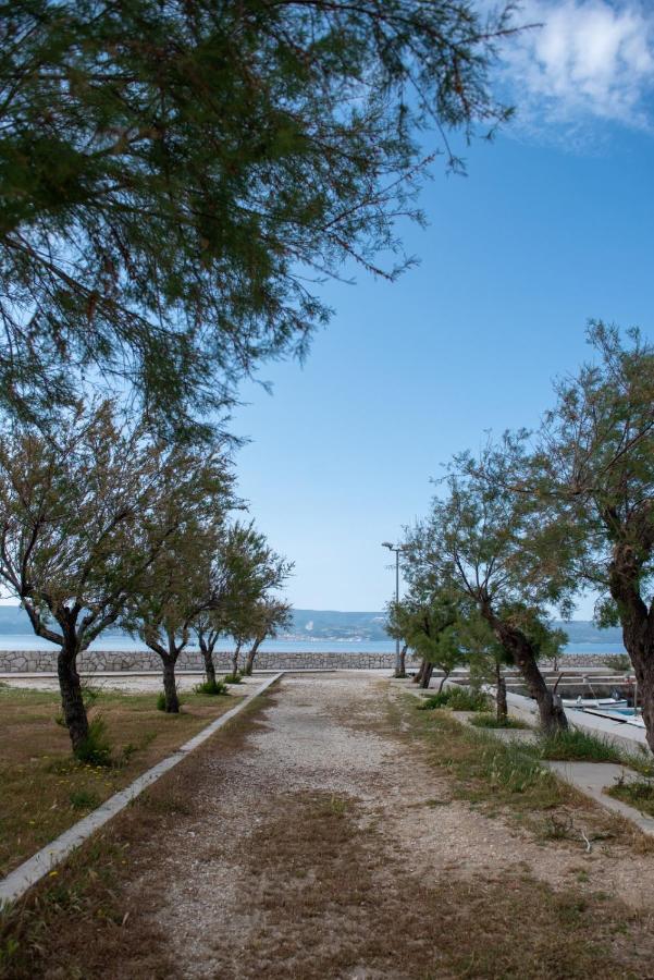 Charming Duce Omis